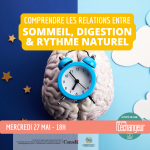 Comprendre les relations entre sommeil, digestion & rythme naturel